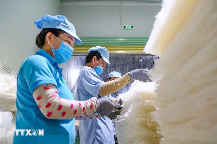 Tây Ninh định hướng nâng cao năng lực cạnh tranh, phát triển sản phẩm đạt tiêu chuẩn quốc tế, tạo nền tảng để doanh nghiệp tham gia sâu hơn vào chuỗi giá trị toàn cầu. (Ảnh: Minh Phú/TTXVN)