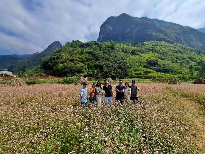 Du khách trải nghiệm mùa tam giác mạch trên Cao nguyên đá Đồng Văn. (Ảnh: Vietnam+)