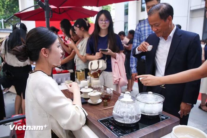 Hoạt động thưởng trà. (Ảnh: Trịnh Ngọc/Vietnam+)
