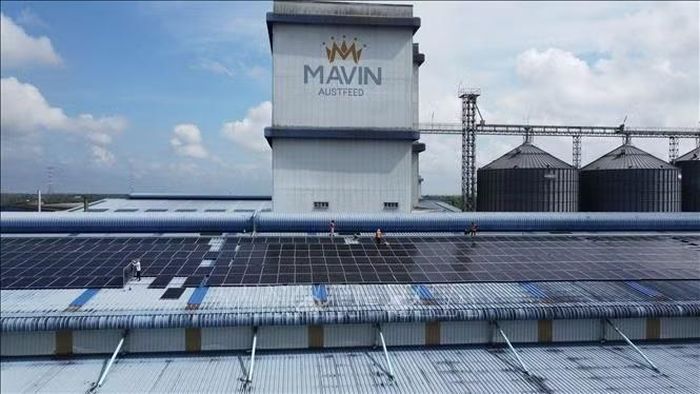Công nhân thi công lắp đặt những tấm pin năng lượng mặt trời trên mái nhà của Nhà máy sản xuất thức ăn chăn nuôi Mavin Austfeed Đồng Tháp (xã Phú Hựu, tỉnh Đồng Tháp). Ảnh: Nhựt An/TTXVN