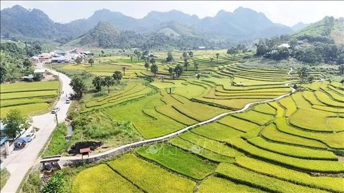 Một góc Bản Tèn vào mùa lúa chín. Ảnh: Hoàng Nguyên/TTXVN