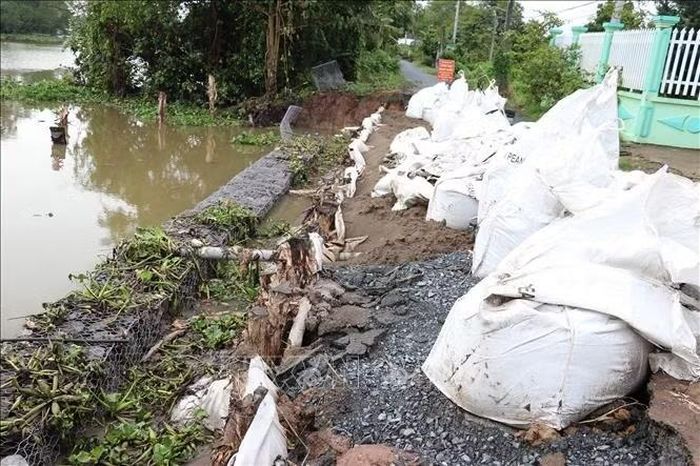 Đoạn sạt lở ở ấp Hội Nghĩa, xã Hiệp Đức, tỉnh Đồng Tháp đang được xử lý khắc phục.