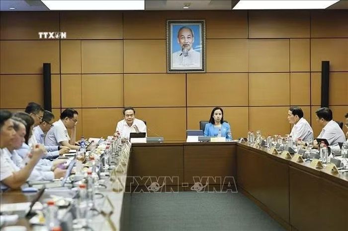 Chủ tịch Quốc hội Trần Thanh Mẫn, đại biểu Quốc hội Thành phố Hồ Chí Minh phát biểu. Ảnh: Doãn Tấn/TTXVN