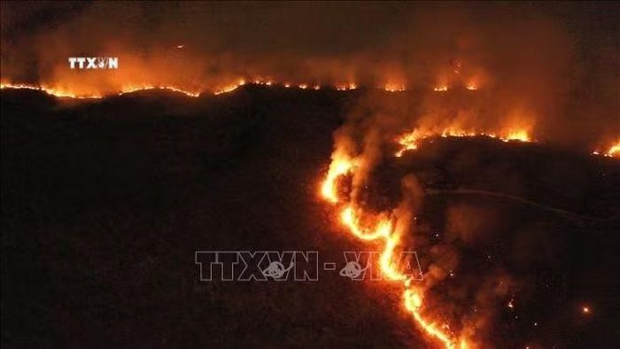 Đám cháy rừng Amazon tại Tocantins, Brazil. Ảnh: THX/TTXVN phát