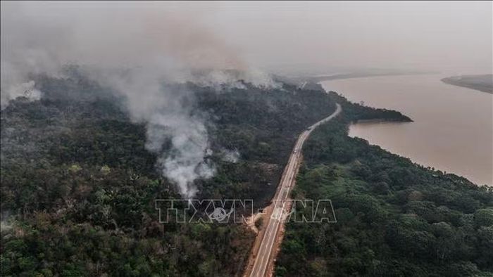Khói bốc lên từ đám cháy rừng Amazon ở Rondonia, Brazil. Ảnh: THX/TTXVN