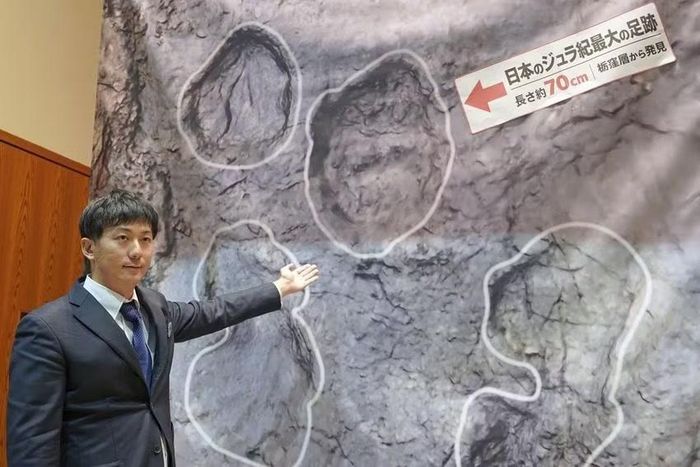 Junki Yoshida, phó giám tuyển tại Bảo tàng Fukushima, chỉ vào một tấm bảng mô phỏng kích thước thật của các hóa thạch dấu chân khủng long được tìm thấy ở Minamisoma, tỉnh Fukushima. Ảnh: Kyodo