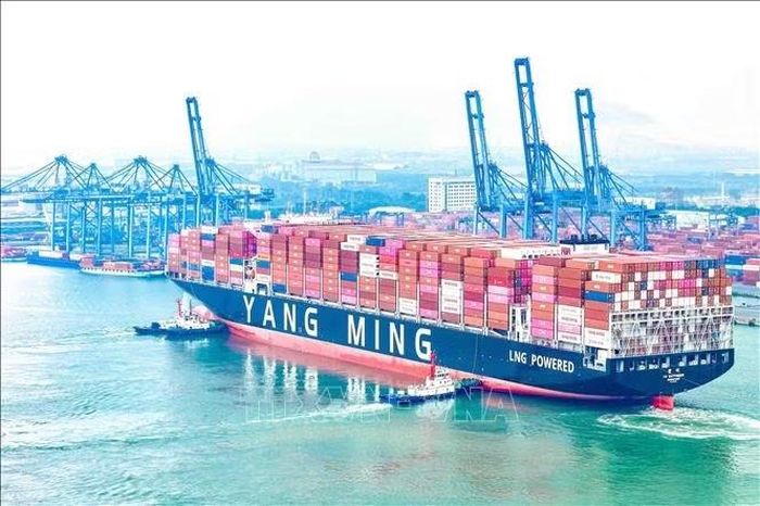 Tàu mẹ YM WAYFINDER cập cảng Cảng Quốc tế Tân Cảng - Cái Mép. Ảnh: TTXVN phát