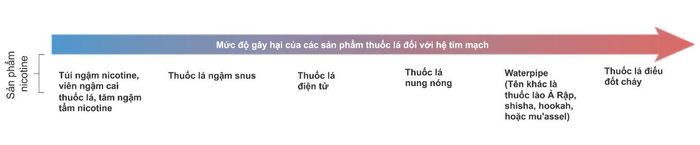 Theo công bố của nhóm nghiên cứu do GS. Thomas Münzel dẫn dắt, các sản phẩm thuốc lá có lượng chất độc cũng như tác hại đối với tim mạch khác nhau: các sản phẩm đốt cháy (thuốc lá điếu và shisha) gây hại cao nhất, sau đó là các sản phẩm không khói. Ảnh: Nature