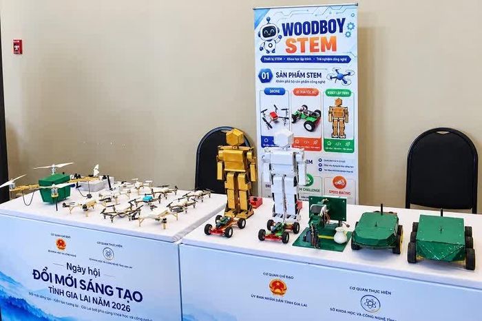 Sản phẩm STEM của Woodboy Quy Nhơn.