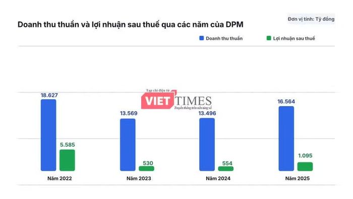 Nguồn: BCTC kiểm toán năm của DPM