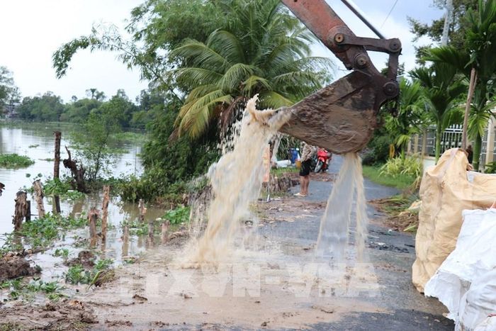Thi công xử lý đoạn sạt lở ở bờ Tây sông Ba Rài qua địa bàn xã Hiệp Đức, tỉnh Đồng Tháp. Ảnh: Hữu Chí - TTXVN