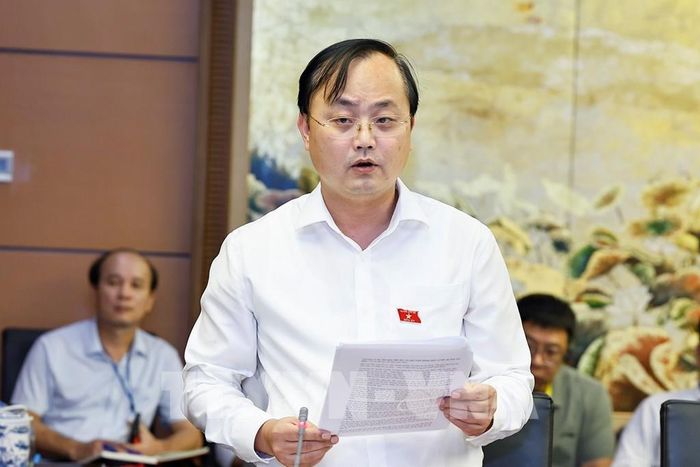 Đại biểu Quốc hội TP Hà Nội Tô Huy Vũ phát biểu. Ảnh: Doãn Tấn - TTXVN