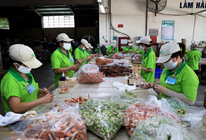 Sản xuất đồ chơi trẻ em tại Công ty CP chế biến Gỗ Đức Thành, quận Gò Vấp, Thành phố Hồ Chí Minh. Ảnh: Hồng Đạt - TTXVN