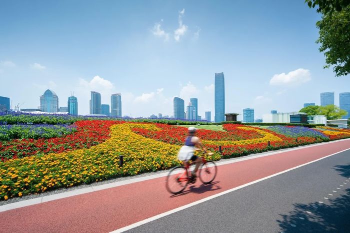 Người đi xe đạp ở Thượng Hải. Ảnh: Lushengyi / Shutterstock.