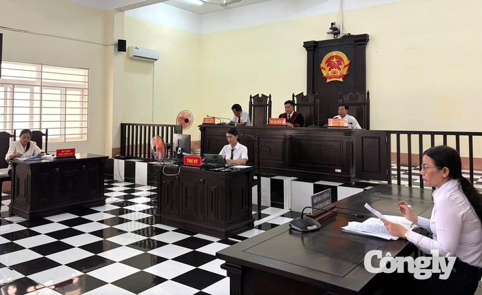 Hội đồng xét xử.