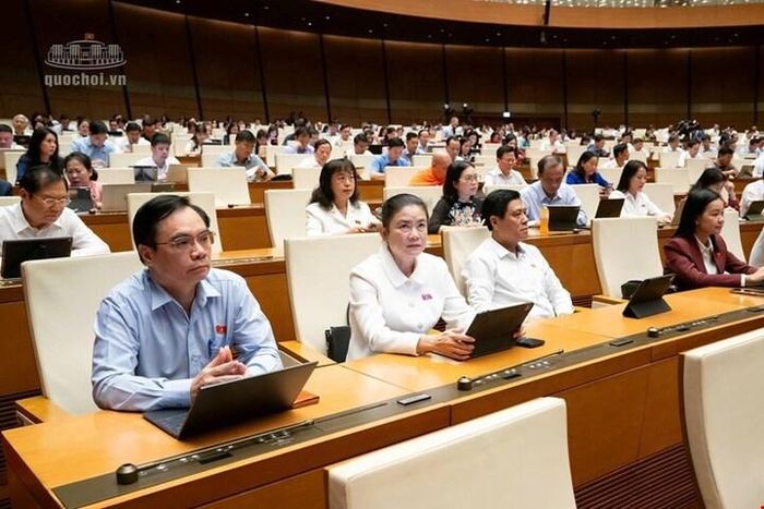 Các đại biểu Quốc hội dự kỳ họp.