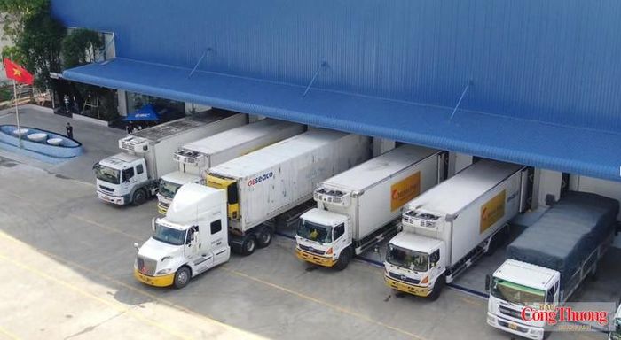 Thiếu khâu chế biến, kho lạnh và logistics phù hợp, vùng nguyên liệu khu vực phía Nam cũng khó tạo ra giá trị tương xứng với sản lượng.