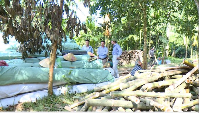 Các loại vật tư phục vụ hoàn thiện công trình được tập kết tại dự án.