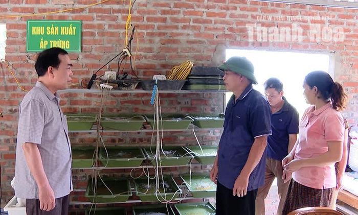 Khu sản xuất ấp trứng giống cá bỗng của HTX Dịch vụ và Tư vấn nông nghiệp Nhật Minh, xã Bá Thước cung cấp cá giống cho người dân miền núi, vùng cao Thanh Hóa.