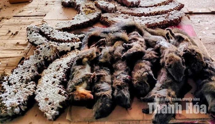 Một số quầy hàng trong chợ còn bày bán các loại thú rừng nhỏ mà người dân săn bắt được.