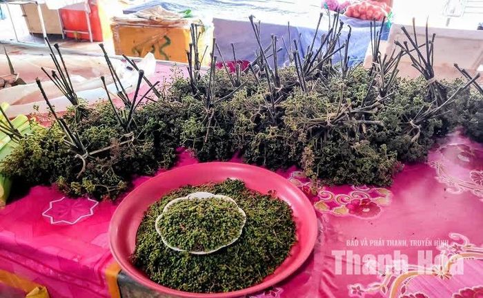 Mắc khẻn là loại gia vị truyền thống của người dân vùng Thượng Lào, có vị cay đặc trưng và hương thơm nồng ấm. Khác với người dân vùng cao Việt Nam, người dân Hủa Phăn thường sử dụng mắc khẻn tươi để chế biến món ăn. Hạt mắc khẻn được giã nhuyễn, tẩm ướp trực tiếp vào món ăn rồi đem chế biến, hoặc pha với các loại gia vị khác để tạo thành thứ đồ chấm có hương vị rất đậm đà. Tại chợ Sầm Nưa, mỗi túm mắc khẻn tươi có giá khoảng 10.000 kip (tương đương khoảng 12.000 đồng tiền Việt Nam).