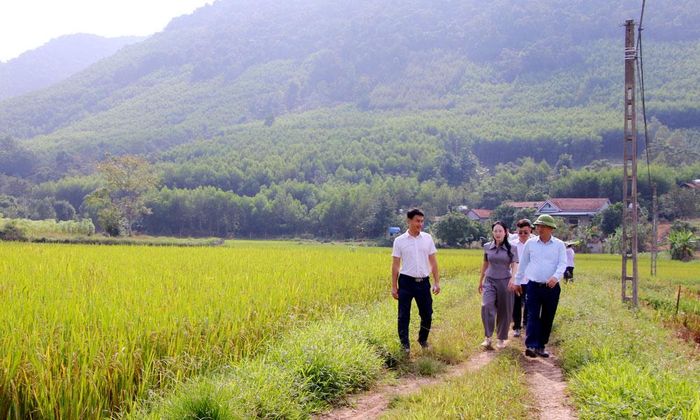Lãnh đạo thành phố kiểm tra thực tế tại một tuyến đường dự kiến hỗ trợ làm đường giao thông tại xã Sơn Động.