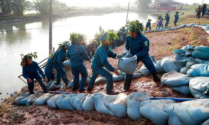  Các lực lượng tham gia diễn tập thực binh xử lý tình huống sạt trượt mái đê. 