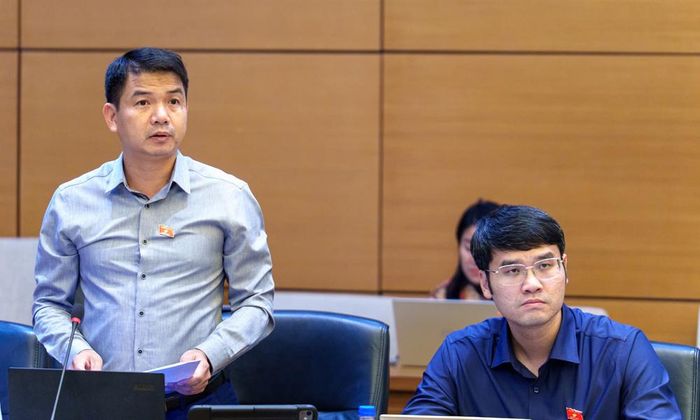 Đại biểu Vũ Văn Cường nêu ý kiến. 