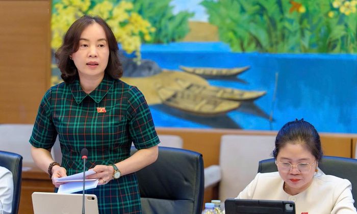  Đại biểu Nguyễn Thị Kim Anh nêu ý kiến. 