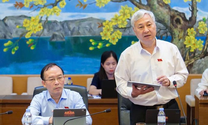  Đại biểu Trần Văn Lâm nêu ý kiến. 
