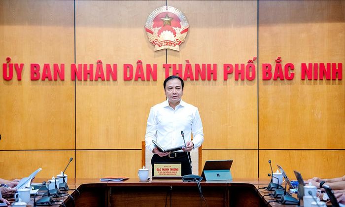 Phó Chủ tịch UBND thành phố Đào Thanh Trường phát biểu chỉ đạo.