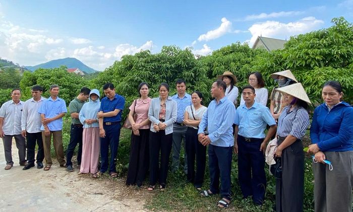  Các đại biểu tham quan mô hình trồng vải thiều theo tiêu chuẩn GlobalGAP tại Tân Sơn. 