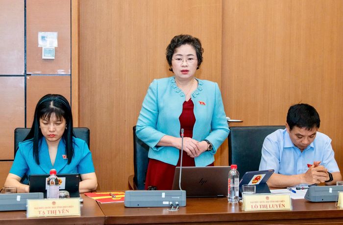 Đại biểu Lò Thị Luyến, Phó Trưởng Đoàn ĐBQH tỉnh phát biểu ý kiến tại phiên thảo luận.