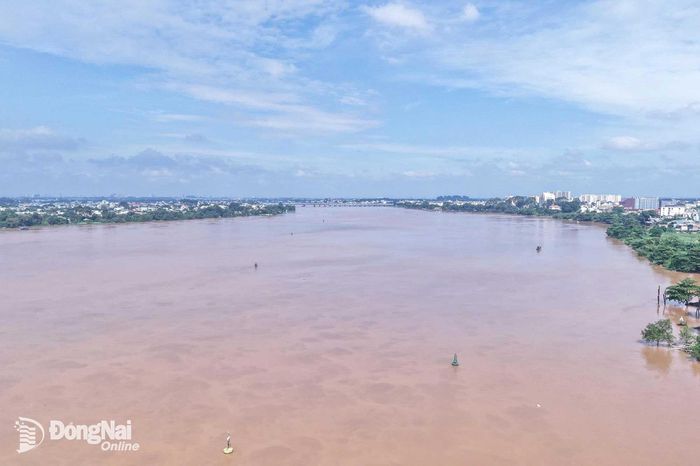 Tại trạm Biên Hòa (hạ lưu sông Đồng Nai), đỉnh triều cao rạng sáng 23-10 đạt mức 1,94m. Ảnh minh họa: Công Nghĩa