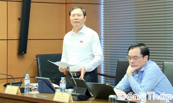 Đại biểu Nguyễn Tân Cương phát biểu thảo luận.