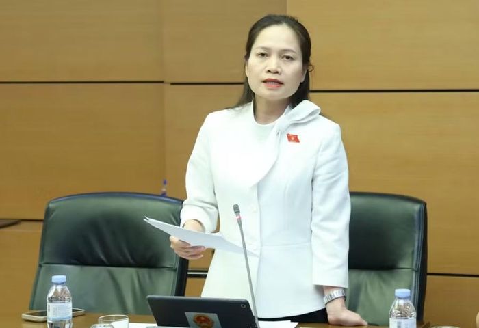 ĐB Siu Hương đề nghị bổ sung các tiêu chí cụ thể về mục tiêu, phạm vi lợi ích công cộng, hiệu quả kinh tế - xã hội, cơ chế phân phối lợi ích, nguồn lực và phương thức đầu tư. Ảnh: Đoàn ĐBQH tỉnh Gia Lai