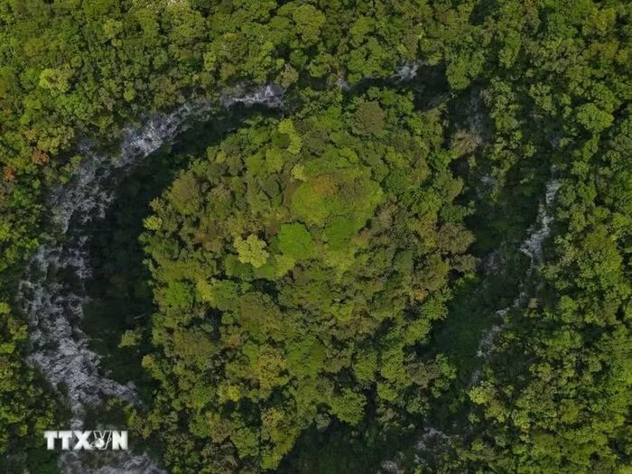Nhìn từ trên cao, hố sụt khổng lồ hiện ra giữa những cánh rừng nguyên sinh và núi đá vôi của Di sản thiên nhiên thế giới Phong Nha-Kẻ Bàng, với miệng hố hình bầu dục có kích thước khoảng 190x140m. Ảnh: TTXVN phát