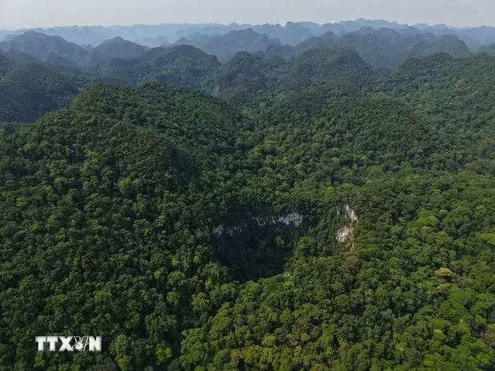 Toàn cảnh hố sụt tự nhiên khổng lồ sâu khoảng 120m, nằm giữa những dãy núi đá vôi trùng điệp, được bao phủ bởi rừng nguyên sinh tại Vườn Quốc gia Phong Nha-Kẻ Bàng (tỉnh Quảng Trị). Ảnh: TTXVN phát