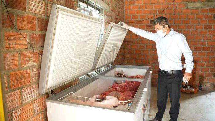  Số sản phẩm thịt bảo quản trong tủ đông có nguồn gốc từ giết mổ heo chết. Ảnh: Quang Hải 