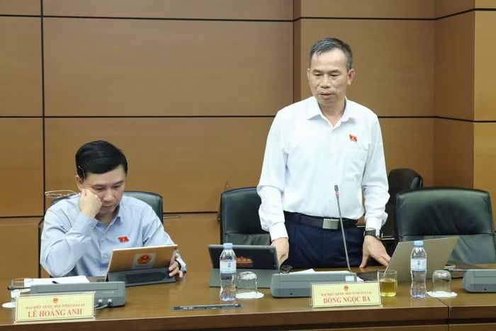  ĐB Đồng Ngọc Ba cho rằng cần phân định rõ quyền sở hữu nhà ở với quyền sử dụng đất gắn liền với nhà ở. Ảnh: Đoàn ĐBQH tỉnh Gia Lai 