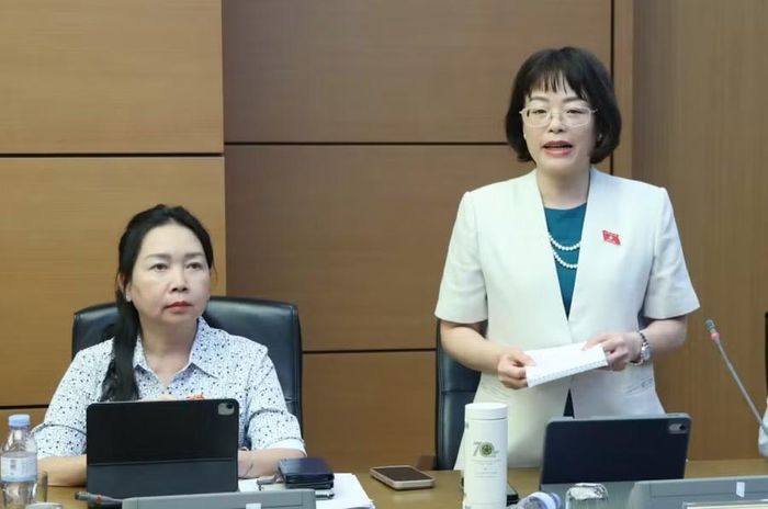  ĐB Nguyễn Thị Mai Phương đề xuất nghiên cứu cơ chế chỉ cho thuê đối với nhà ở xã hội được đầu tư bằng vốn ngân sách nhà nước, không áp dụng hình thức thuê mua hoặc bán. Ảnh: Đoàn ĐBQH tỉnh Gia Lai 
