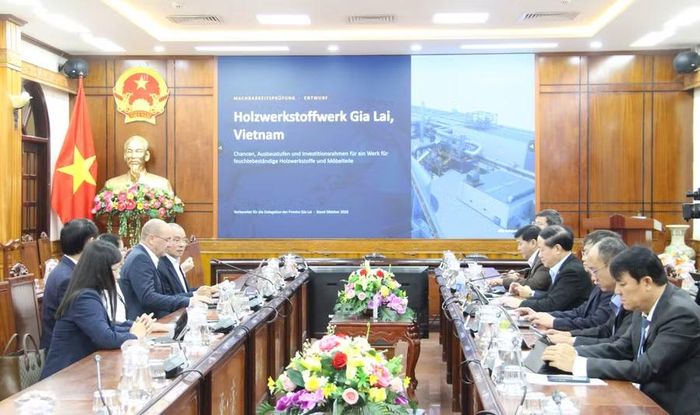  Công ty Göpfert Möbelteile GmbH giới thiệu về dự án dự kiến triển khai tại Gia Lai. Ảnh: Trọng Lợi 