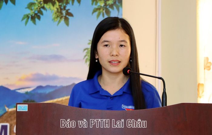 Đại diện các doanh nghiệp, hợp tác xã, tổ hợp tác, các chủ thể OCOP phát biểu tham luận tại hội nghị.
