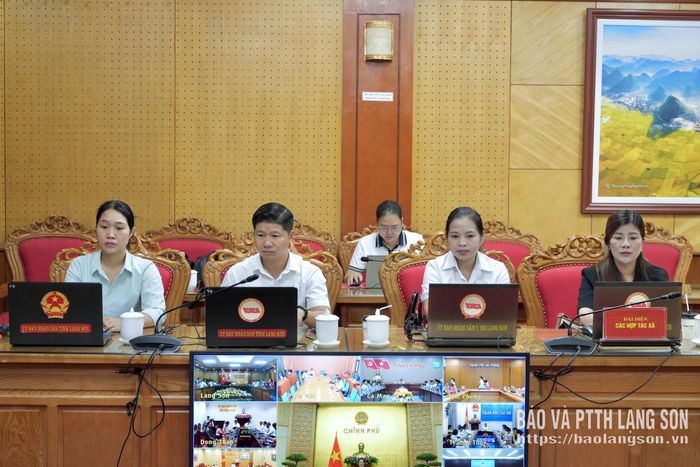 Đại diện các hợp tác xã dự hội nghị tại điểm cầu UBND tỉnh Lạng Sơn