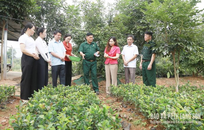 Đoàn kiểm tra mô hình phát triển kinh tế của người dân thôn Chộc Vằng, xã Lộc Bình