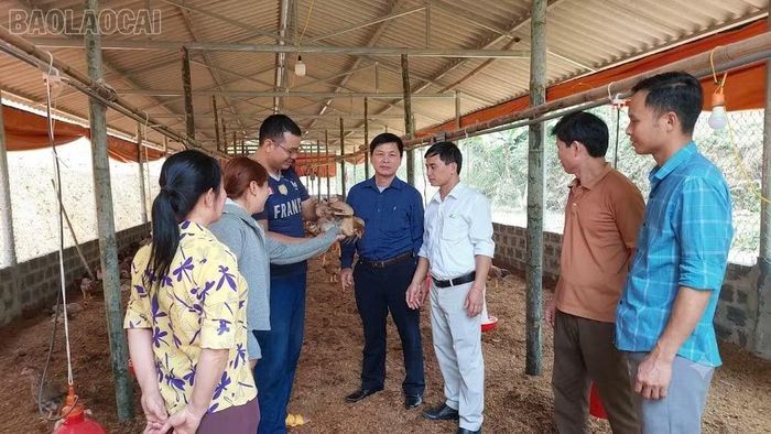Các chính sách hỗ trợ và bồi dưỡng kiến thức cần tiếp tục được triển khai để thúc đẩy nâng cao năng lực sản xuất cho người dân.