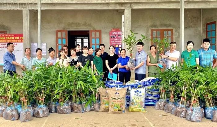 Hội Nông dân tỉnh hỗ trợ cây giống, vật tư cho hội viên.