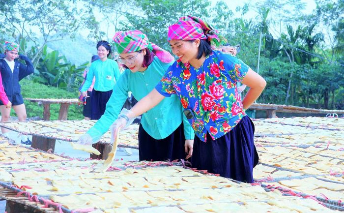 Thăm mô hình sản xuất măng mai.