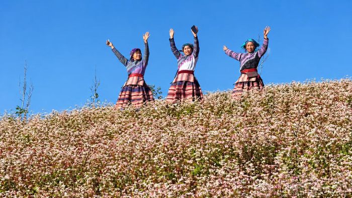 Chị Giàng Thị Chao (ngoài cùng bên trái) cùng người thân chụp ảnh tại vườn hoa tam giác mạch.