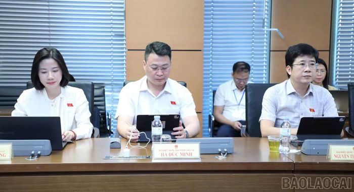 Các đại biểu Quốc hội tỉnh Lào Cai tại phiên thảo luận tổ.